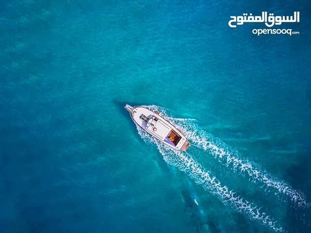 Husam Sameer Abdelsalam