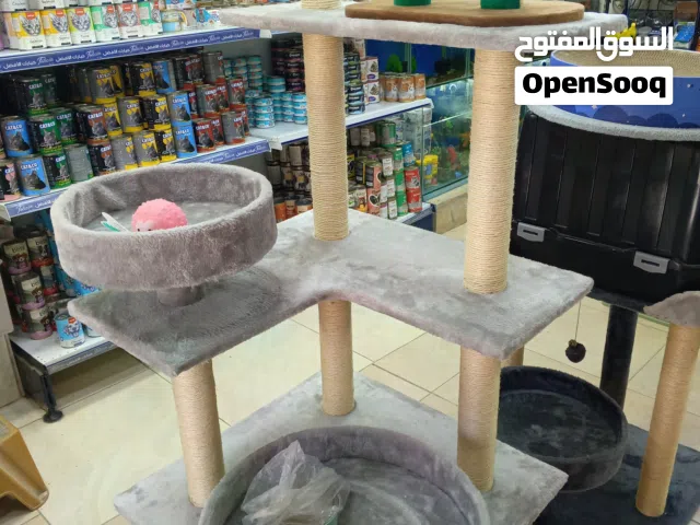 اكسسورات للبيع