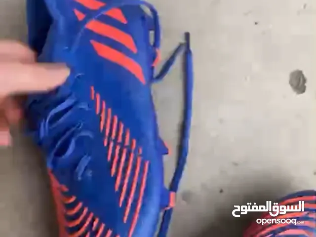 39 Sport Shoes in Irbid