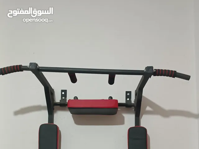 barre fix et dips multifonction