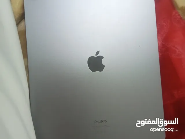 ipad pro 256