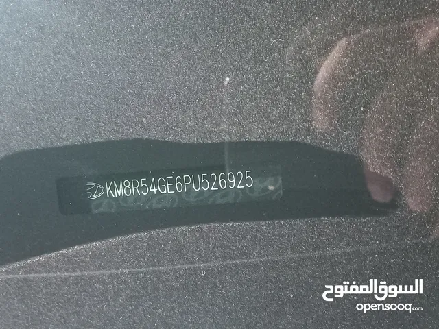 New Hyundai Palisade in Baghdad