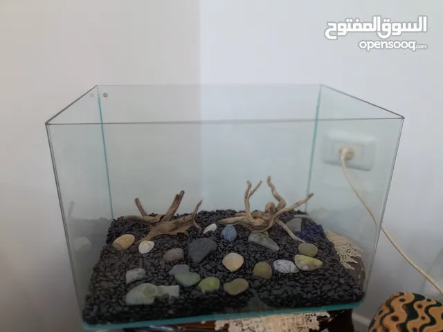 حوض اسماك كريستال