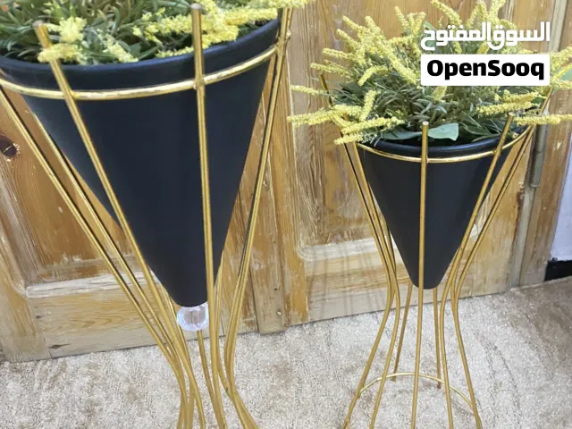 زوز حاملات ورود