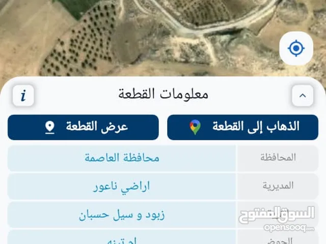 الأراضي من مالك مباشر