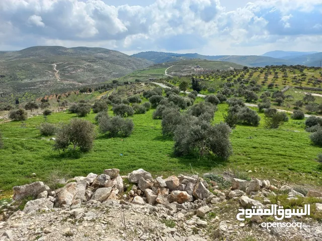 ارض مميزة 5 دونمات باجمل مواقع بيت امرين على قمة جبل كوشان طابو