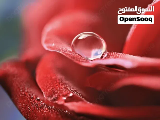 محل للبيع تجارى