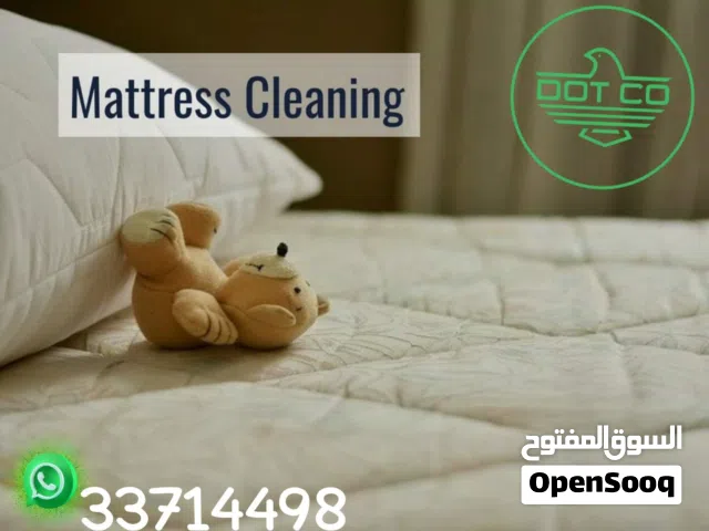 cleaning services pest control Electrical and plumbing services