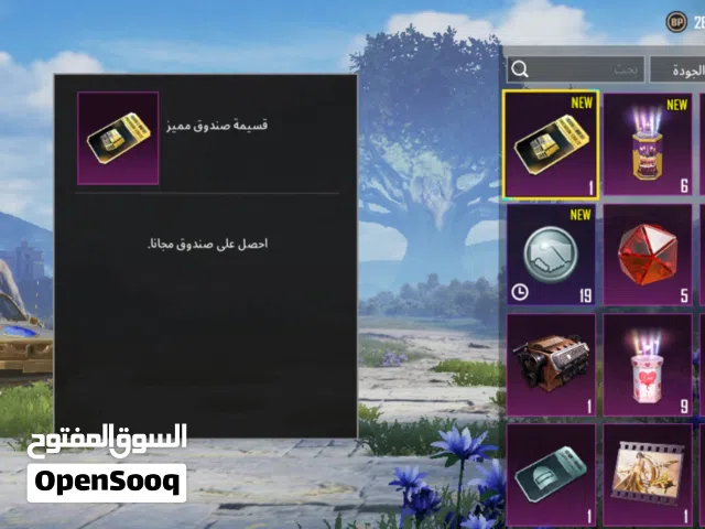 Pubg Accounts and Characters for Sale in Northern Governorate