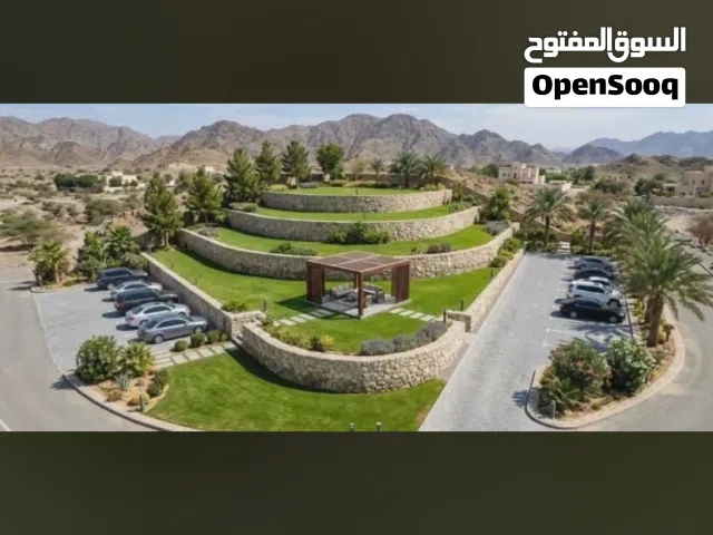 زراعه النخل ولمظلات وتركيب الحجر التراث