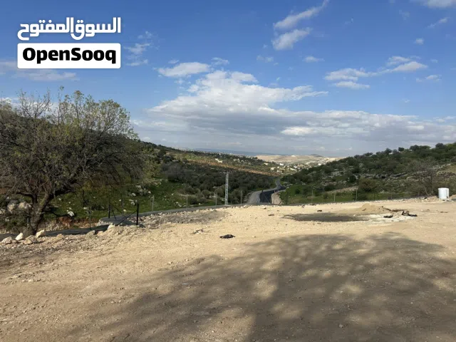 Farm Land for Sale in Zarqa Sarout
