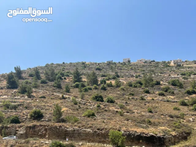 Mixed Use Land for Sale in Hebron Beit Kahil