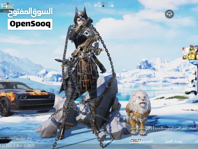 Pubg Accounts and Characters for Sale in Homs