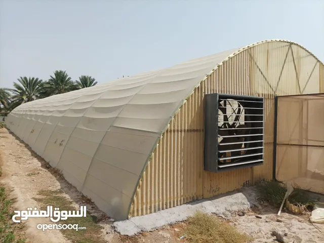 بيوت محميه مبرده العدد 2