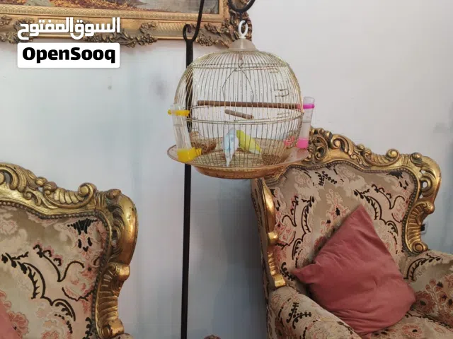 طيور حب عدد 2مع قفص ذهبي وستاند