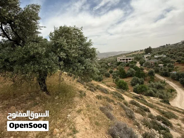 قطعة ارض استثمارية و سكنية أو لبناء شاليه