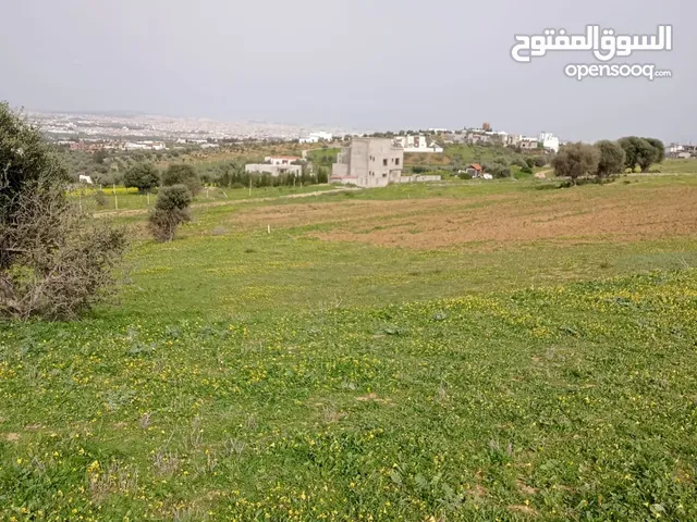 2500 متر للبيع في صنهاجة