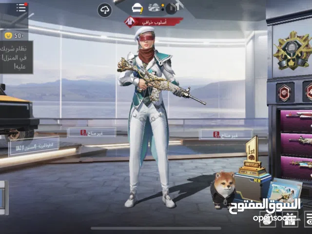 Pubg Accounts and Characters for Sale in Central Governorate