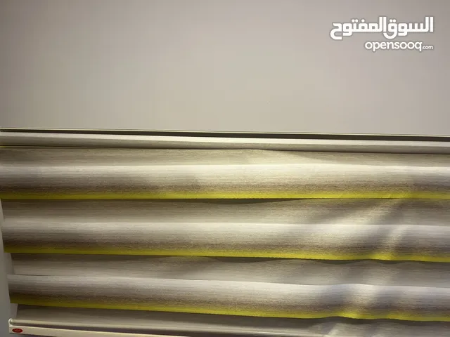 برادي زيبرا