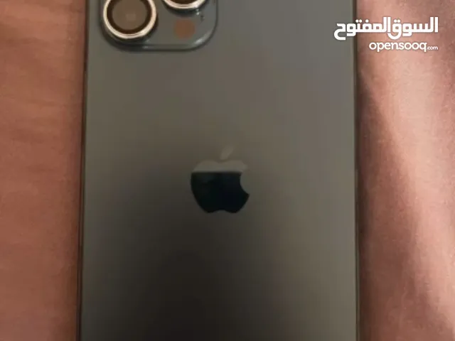 Apple iPhone 12 Pro Max 256 GB in Um Al Quwain