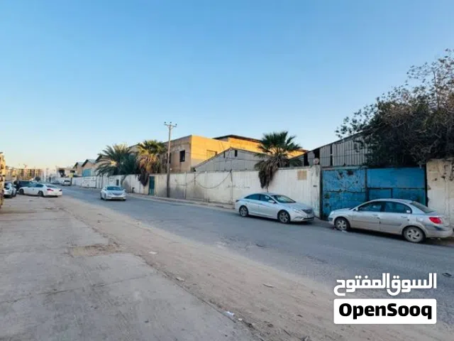 هنقر الدريبي