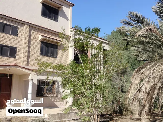 منزل للايجار يصلح مدرسة او شركة
