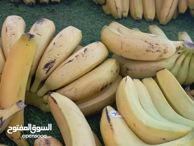 ناصرية موز كوتوري
