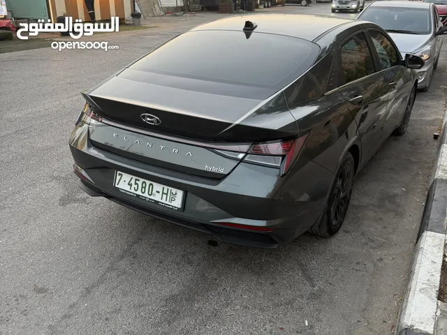 هونداي النترا 2024