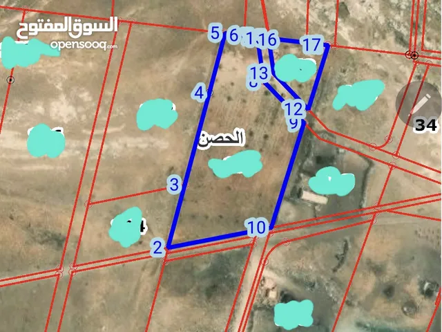 نومره وخديجه اراضي الحصن مساحة القطعه 4400 م2 على شارع 8 م أمامها T مزروعه زيتون حوض مطلوب وقطعه رخي