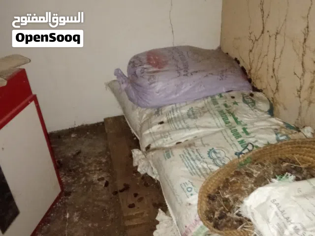 نفيعه لبيع الكميه محدوده