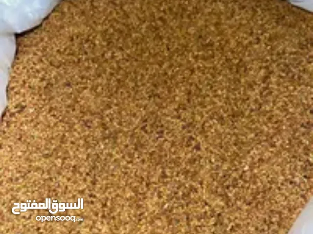 يتوفر لدينا بذر قت عماني المن ب60 ريال