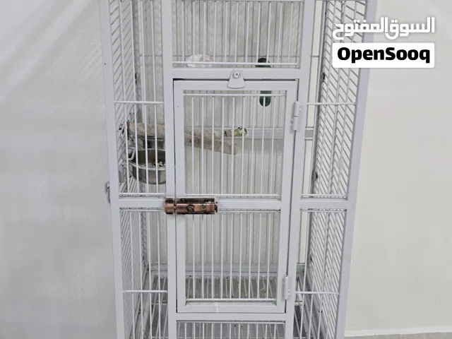 السوق المفتوح