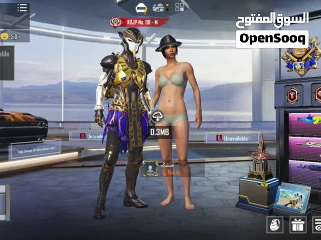 Pubg Accounts and Characters for Sale in Salt