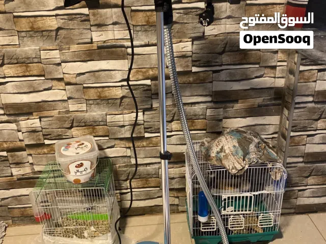مكواه كهرباء للبيع