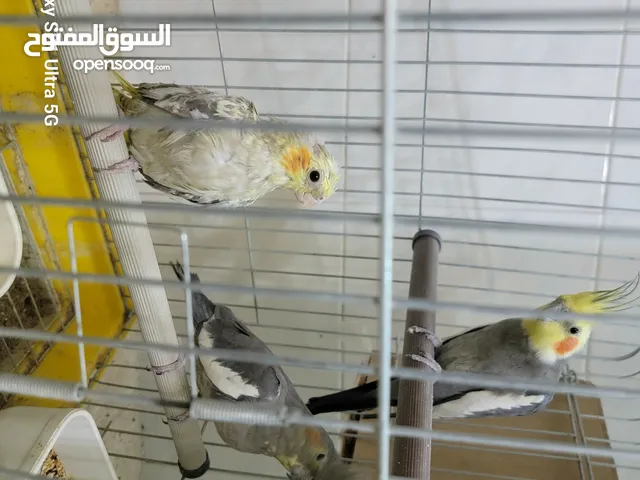 متاح كوم كنار ومعاكيف بسعر مناسب