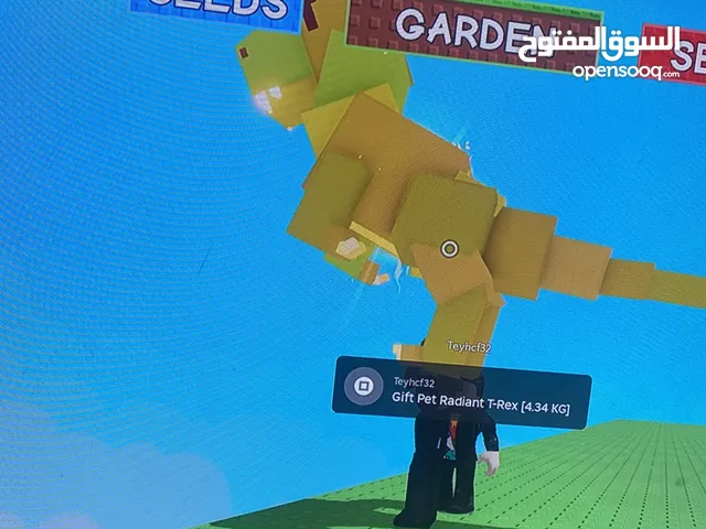 عرضكم تيركس