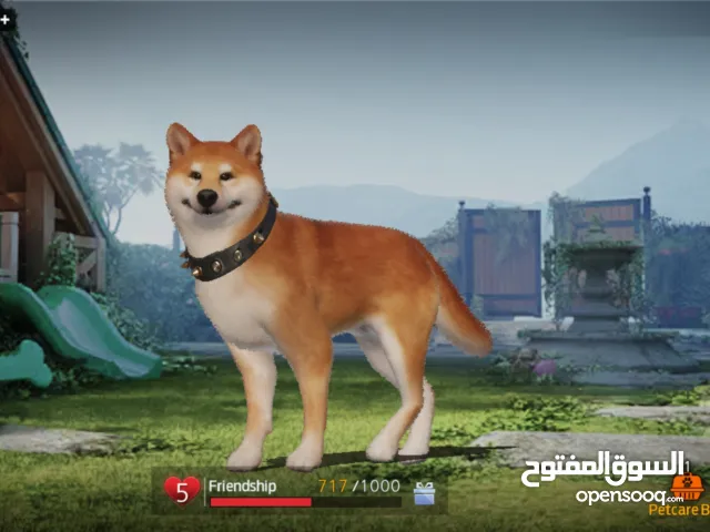 Accounts - Others Accounts and Characters for Sale in Northern Governorate