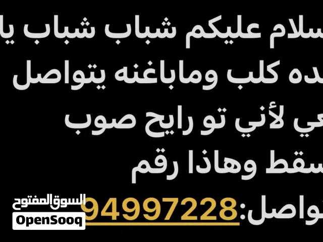 شباب مطلوب كلب لتبني شوفو الوصف مهم.