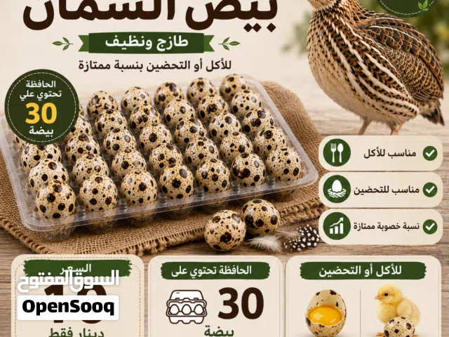 دحي سمان جانبو