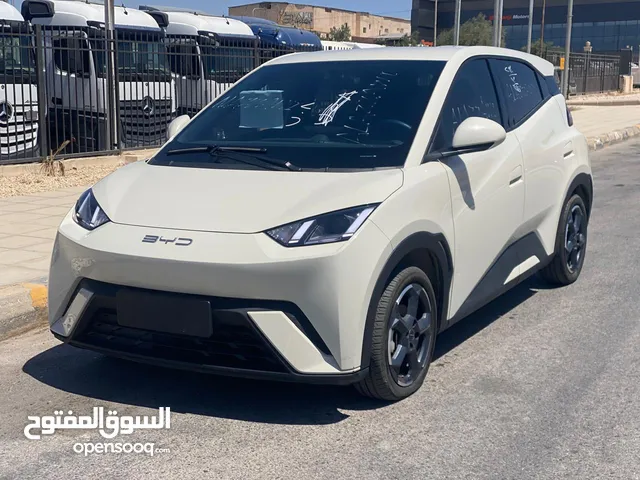 بي واي دي سيجيل 2023 بطارية 305