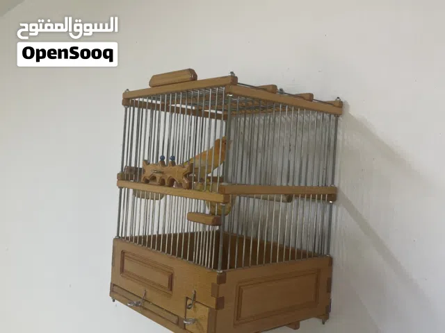 قفص عصفور الحسون أو الكنار صناعة كلاسيكة صنع في سوريا دمشق
