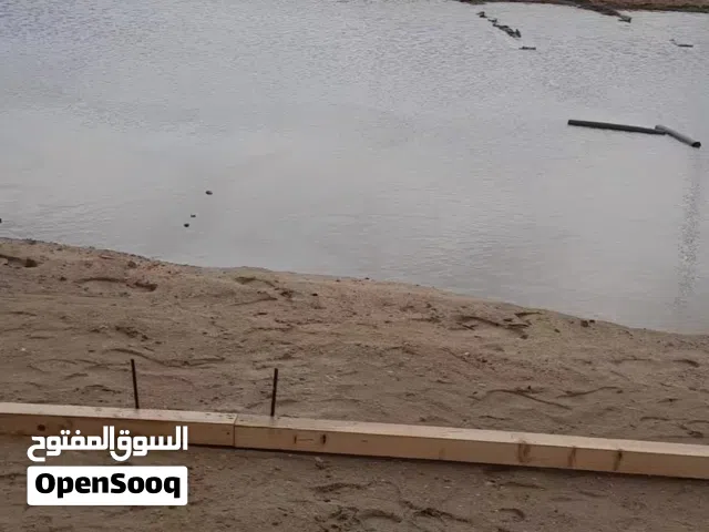 نجارين وحدادين مسلح