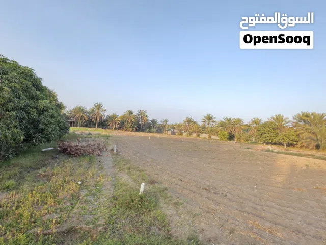 Farm Land for Sale in Muscat Quriyat