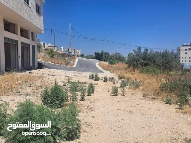 مخازن للايجار في موقع مميز