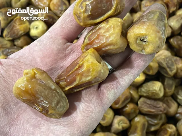 تمور مبروم وكل الاصناف