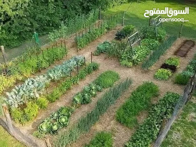 Farm Land for Sale in Amman Al-Khreim