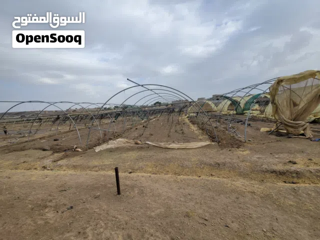 بيوت محمية زراعيه نوع سعودي