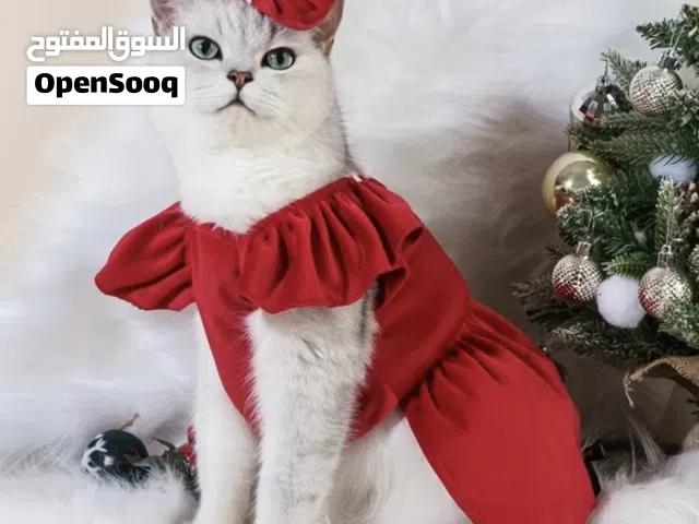 ملابس الحيونات أليفه كلاب و قطط و قرود