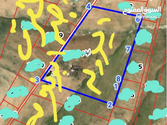 Farm Land for Sale in Mafraq Idoun