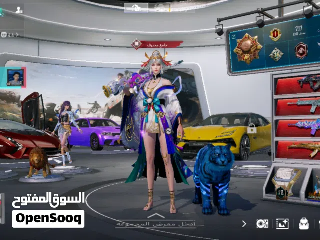 حساب PUBG Mobile أسطوري للبيع - ليفل 85  لعشاق التميز والنوادر، حساب VIP متكامل "جامع محترف 16"